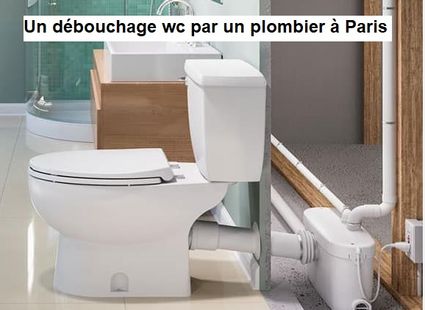 Un débouchage wc par un plombier à Paris