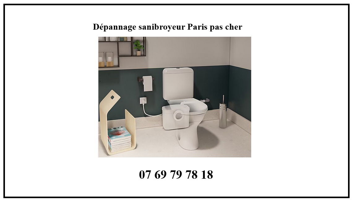dépannage sanibroyeur Paris cher