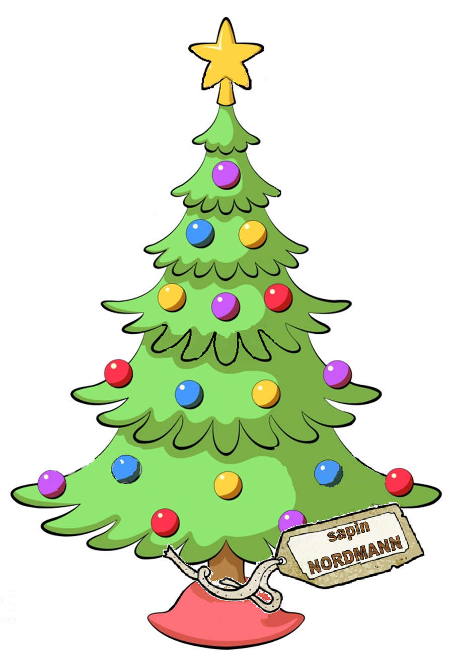 Sapin normann