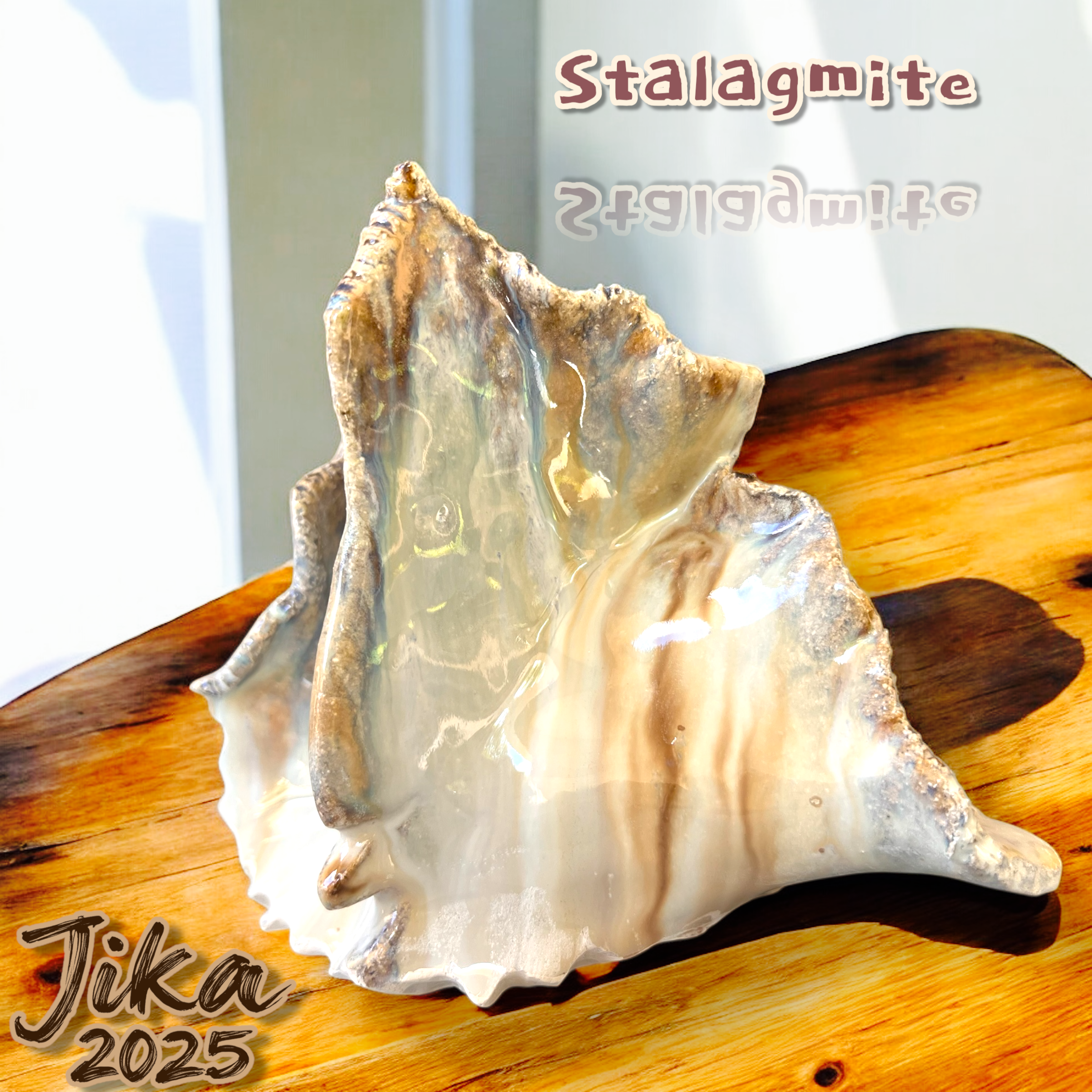 0221 stalagmite 2025