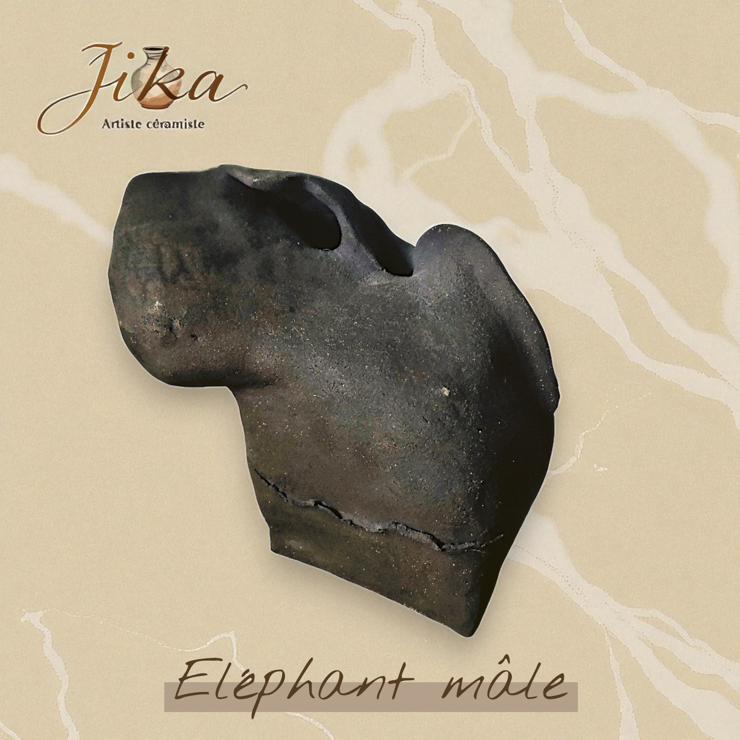 0023 elephant male 2018