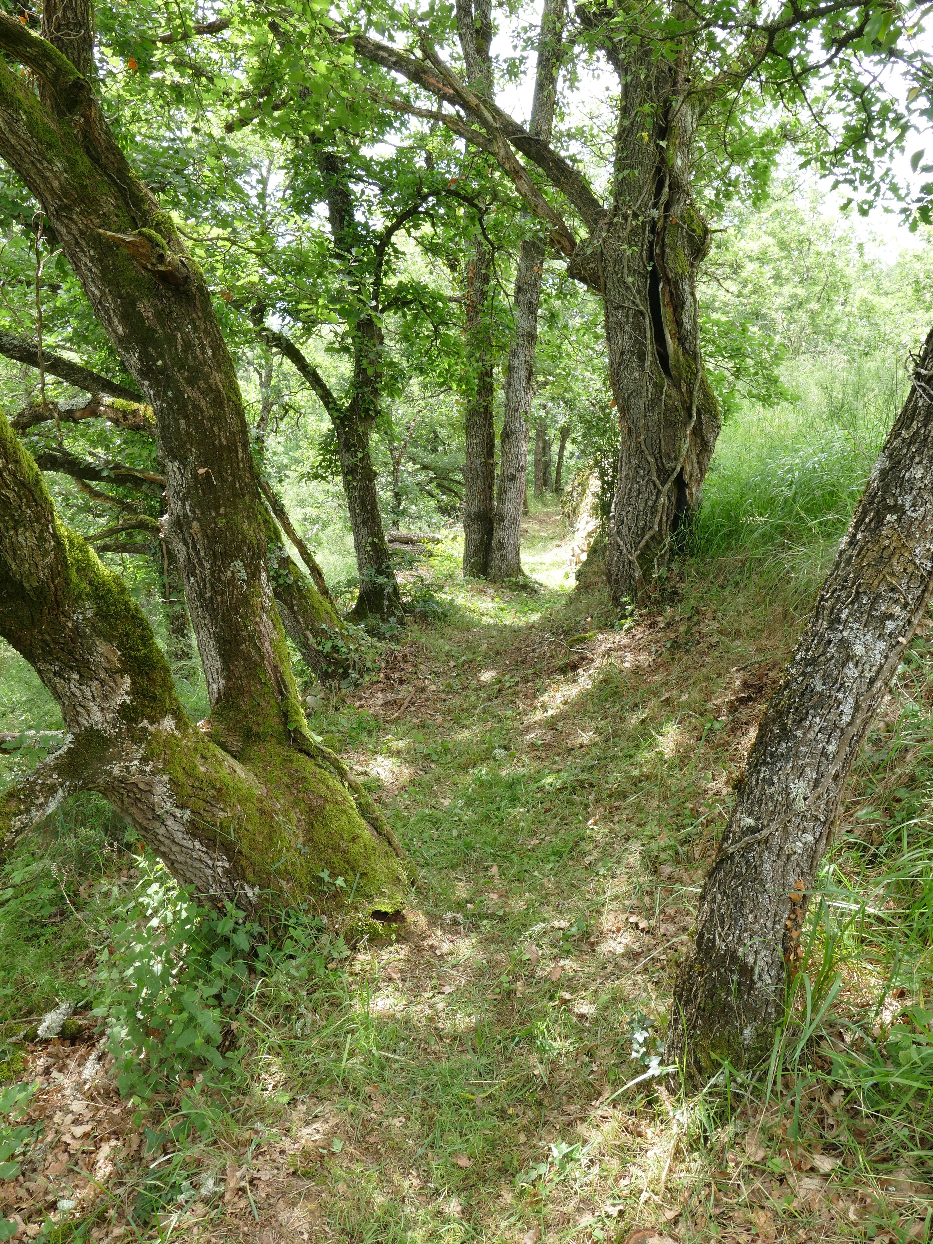 P1090678