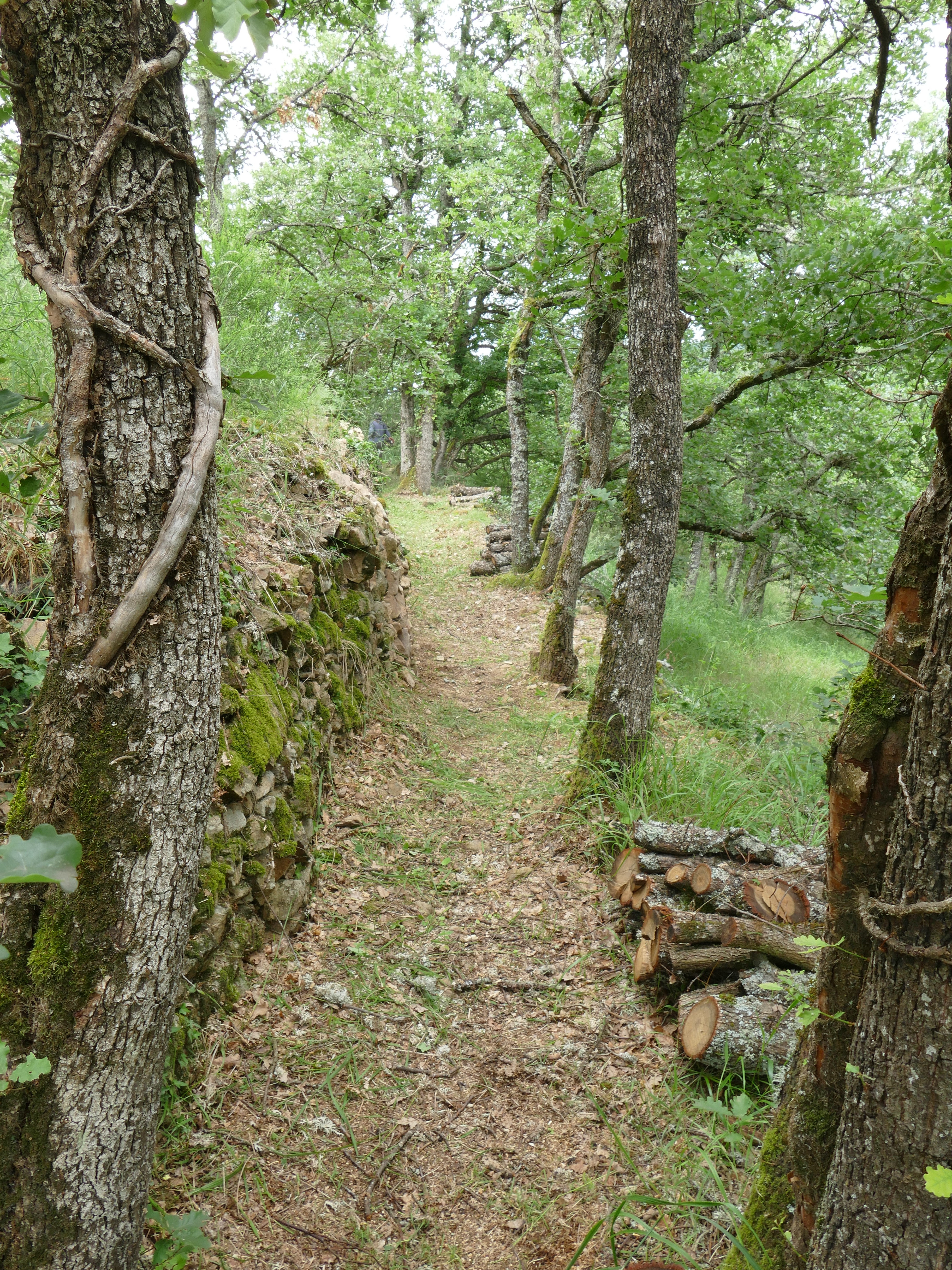 P1090689