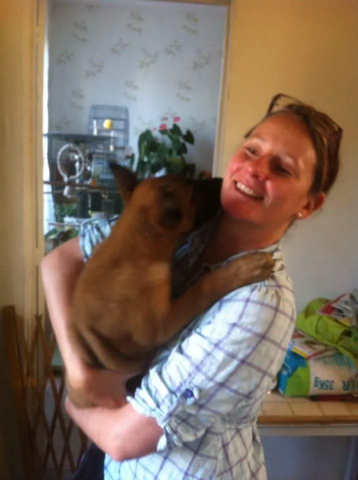 James, chiot malinois de ma maman de coeur - pris en charge des son arrivee de l'elevage