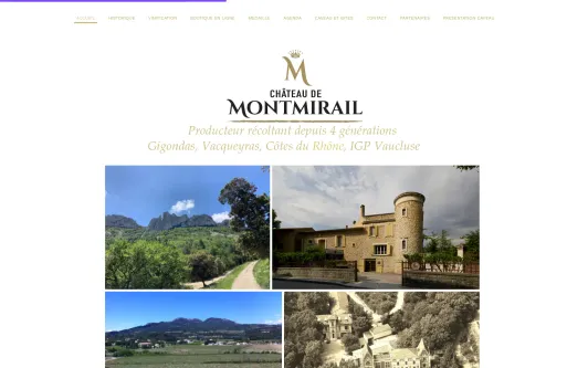 Site exemple Chateau de Montmirail