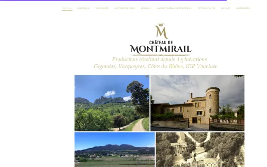 Site exemple Chateau de Montmirail