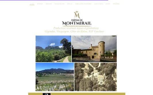 Site exemple Chateau de Montmirail