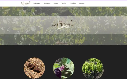 Ejemplo de sitio web Les Païssels