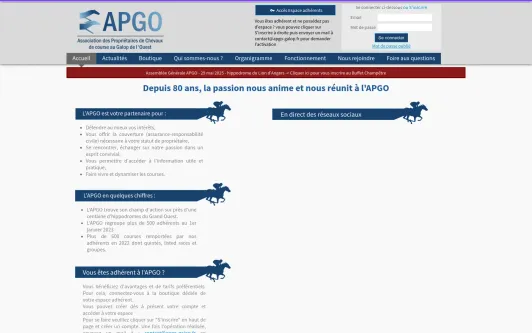 Ejemplo de sitio web Association APGO