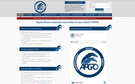 Ejemplo de sitio web Association APGO