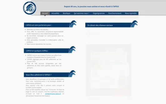 Ejemplo de sitio web Association APGO