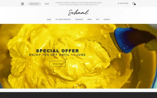 Site exemple SCHAAL COLORS