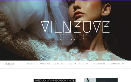 Ejemplo de sitio web Vilneuve Studio