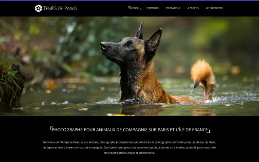 Site exemple Temps de Paws - Photographe animalier professionnel (chien, chat, NAC)