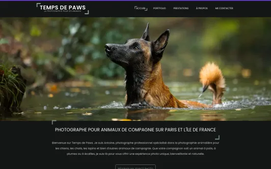 Site exemple Temps de Paws - Photographe animalier professionnel (chien, chat, NAC)