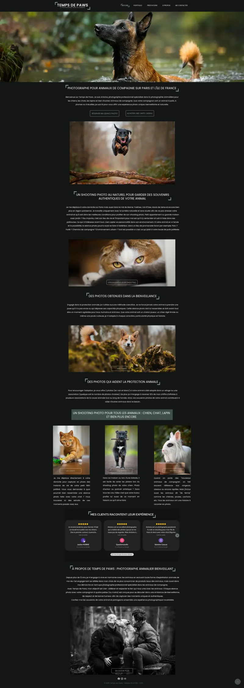 Temps de Paws - Photographe animalier professionnel (chien, chat, NAC)
