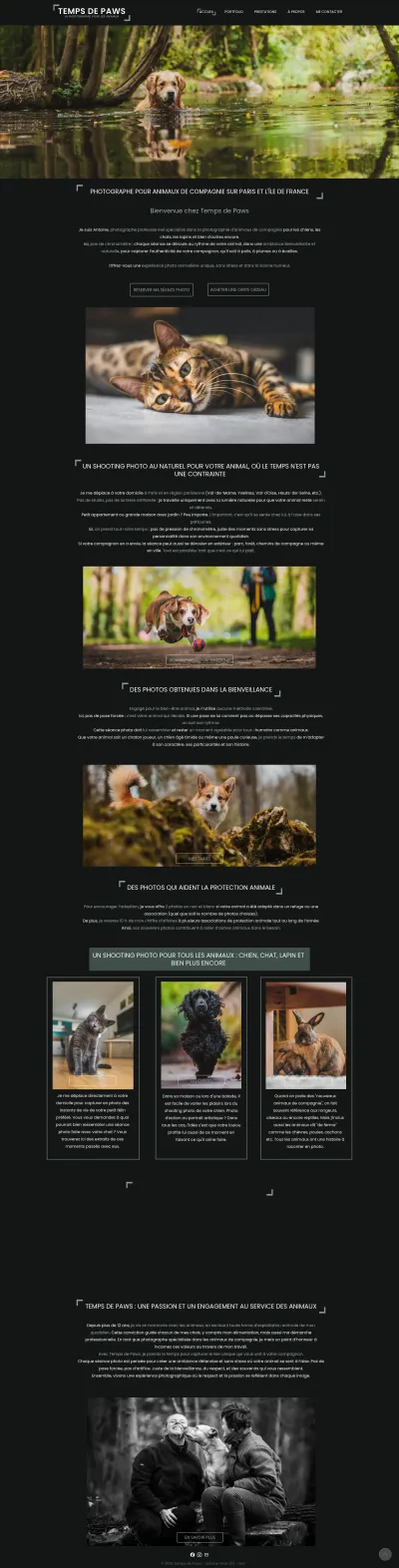 Temps de Paws - Photographe animalier professionnel (chien, chat, NAC)