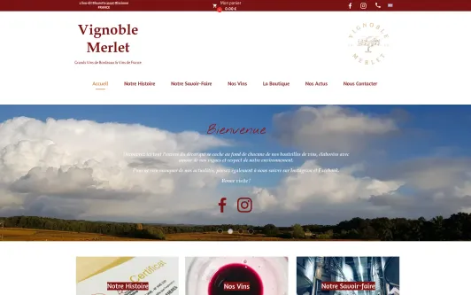 Ejemplo de sitio web Vignoble Merlet
