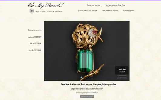 Site exemple OhMyBrooch!