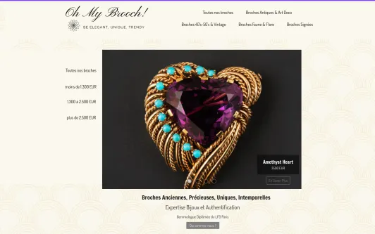 Site exemple OhMyBrooch!