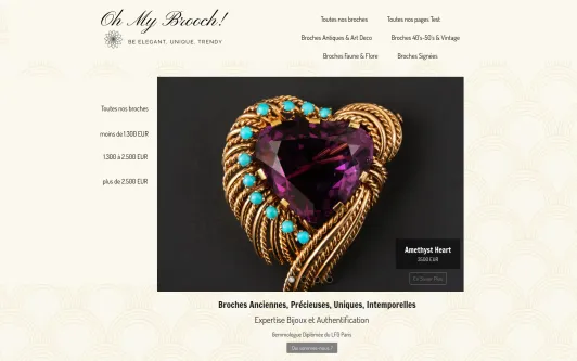 Site exemple OhMyBrooch!