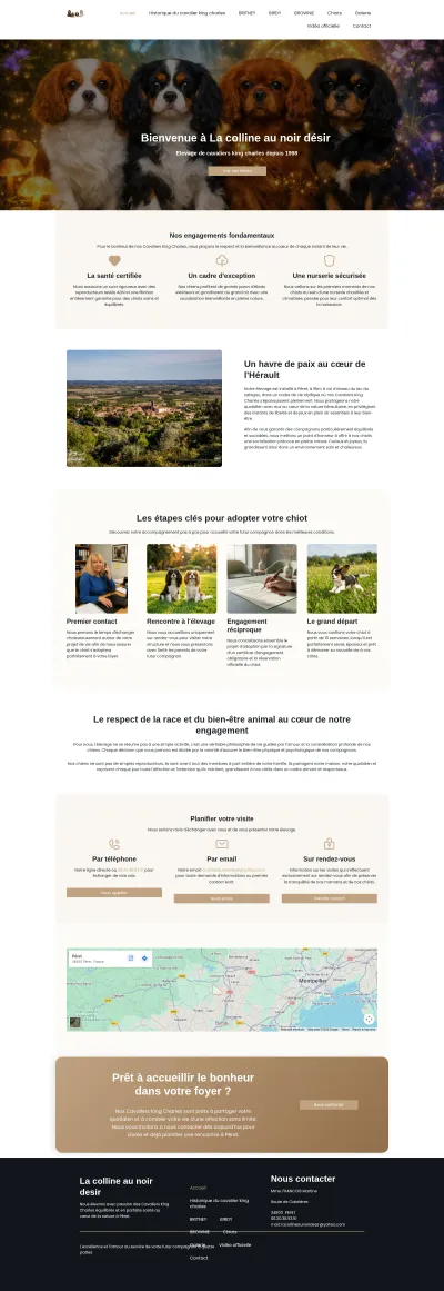 La colline au noir desir