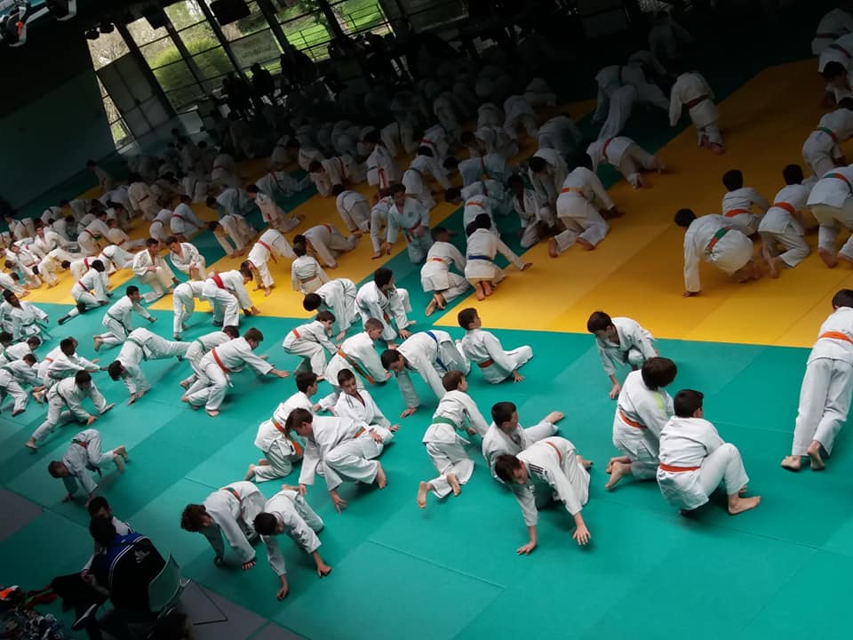 56440181 810225916002714 7520636830790713344 n