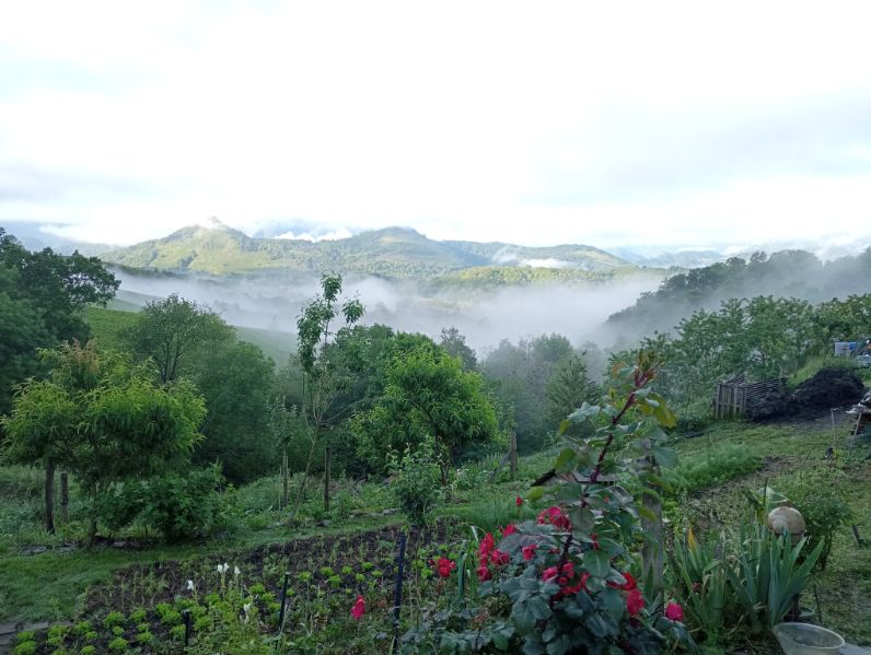 Image0000031