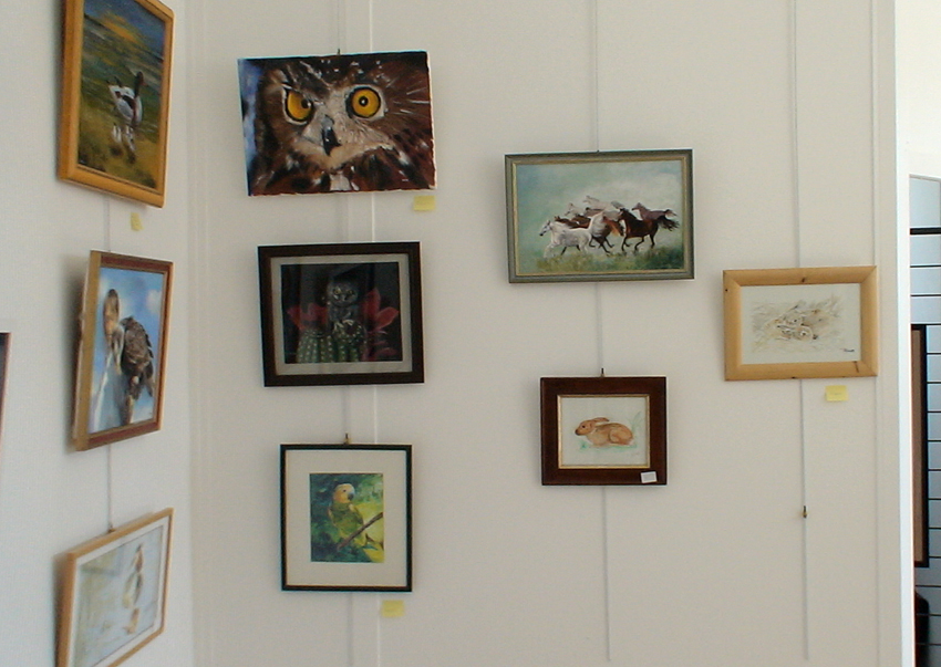 Expo cours