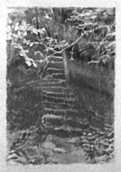 Escalier