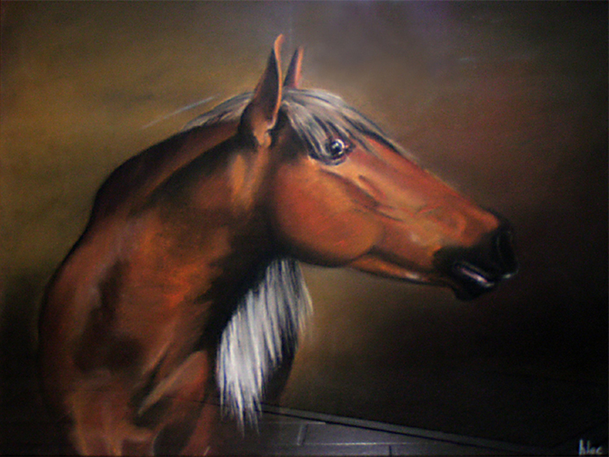 Cheval
