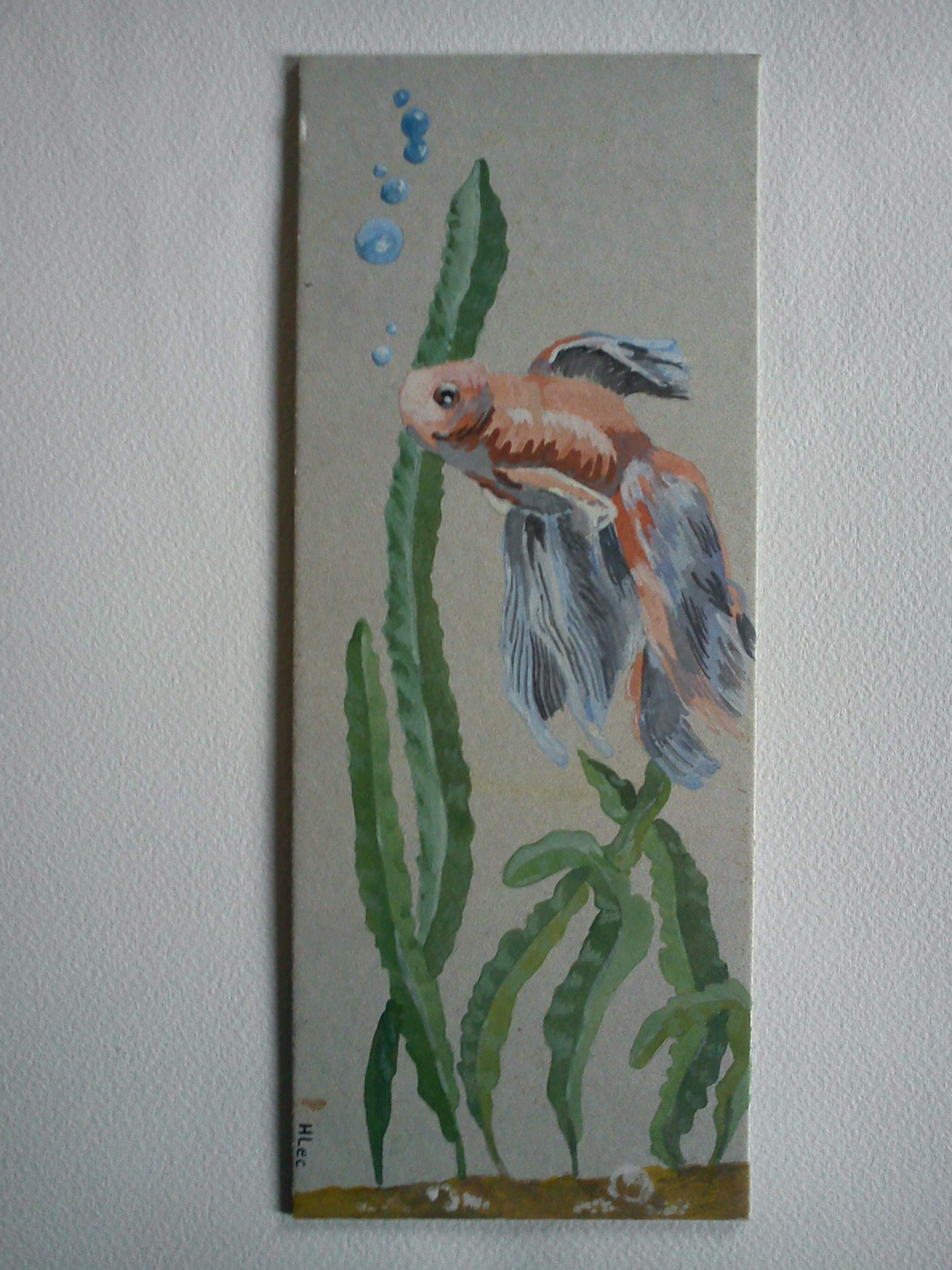 Illustration