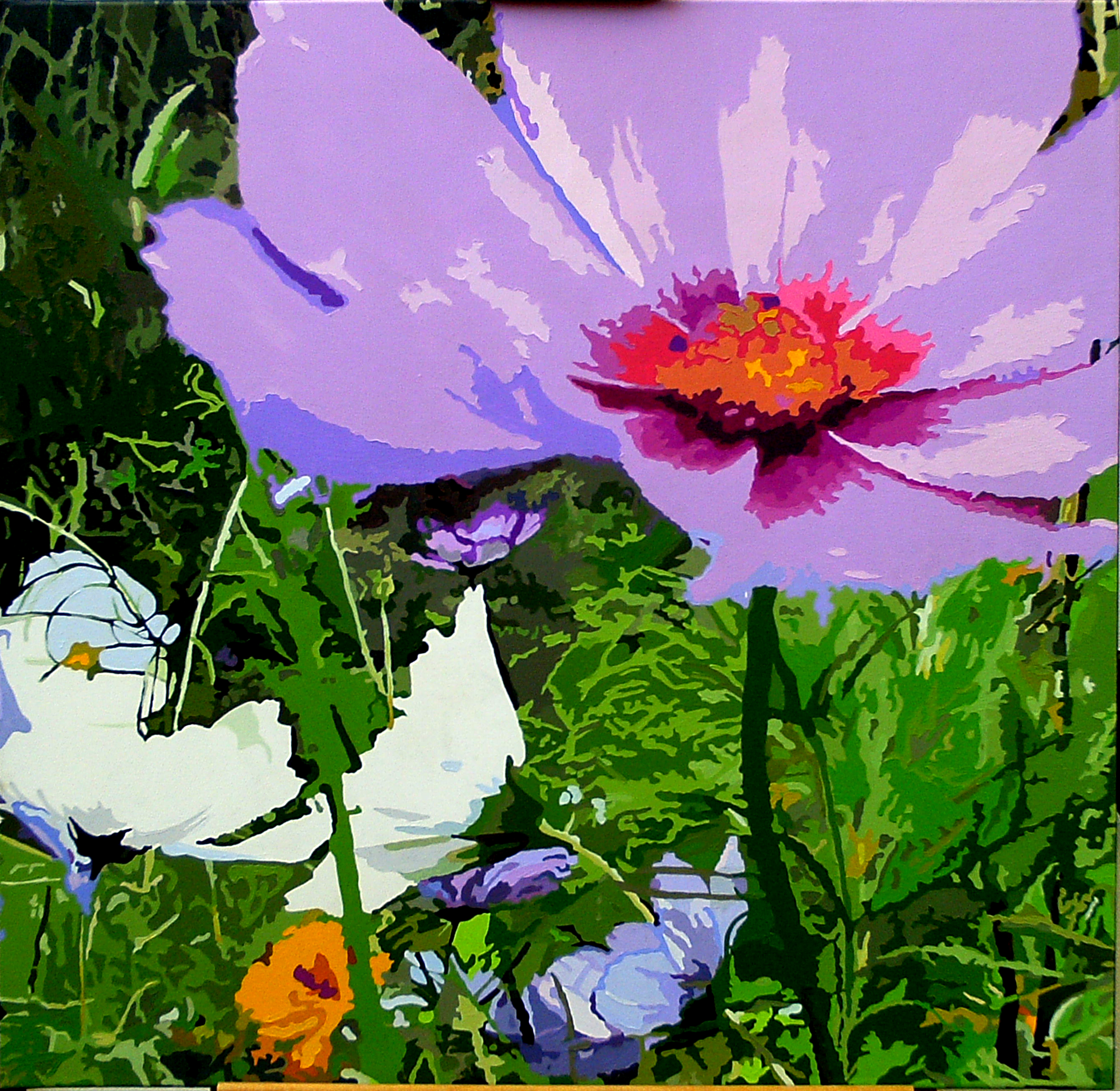 Cosmos