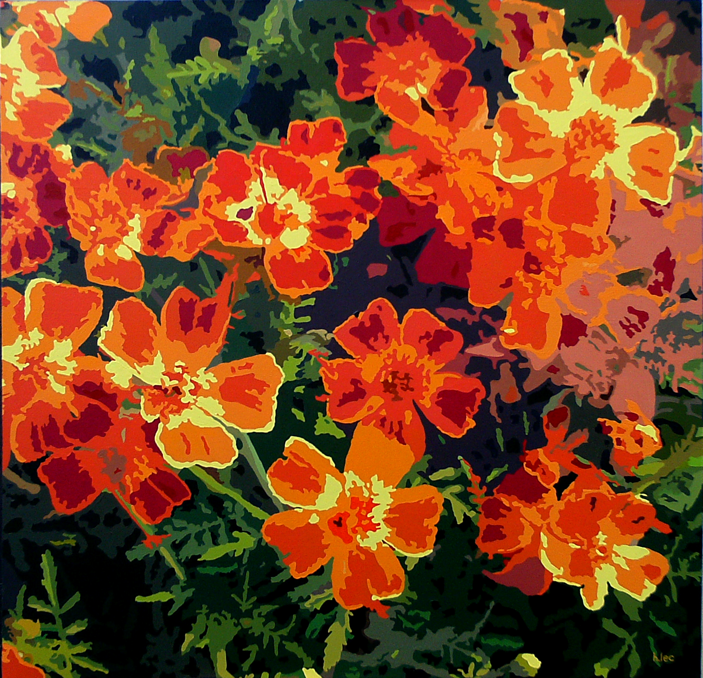 Oeillets orange copie