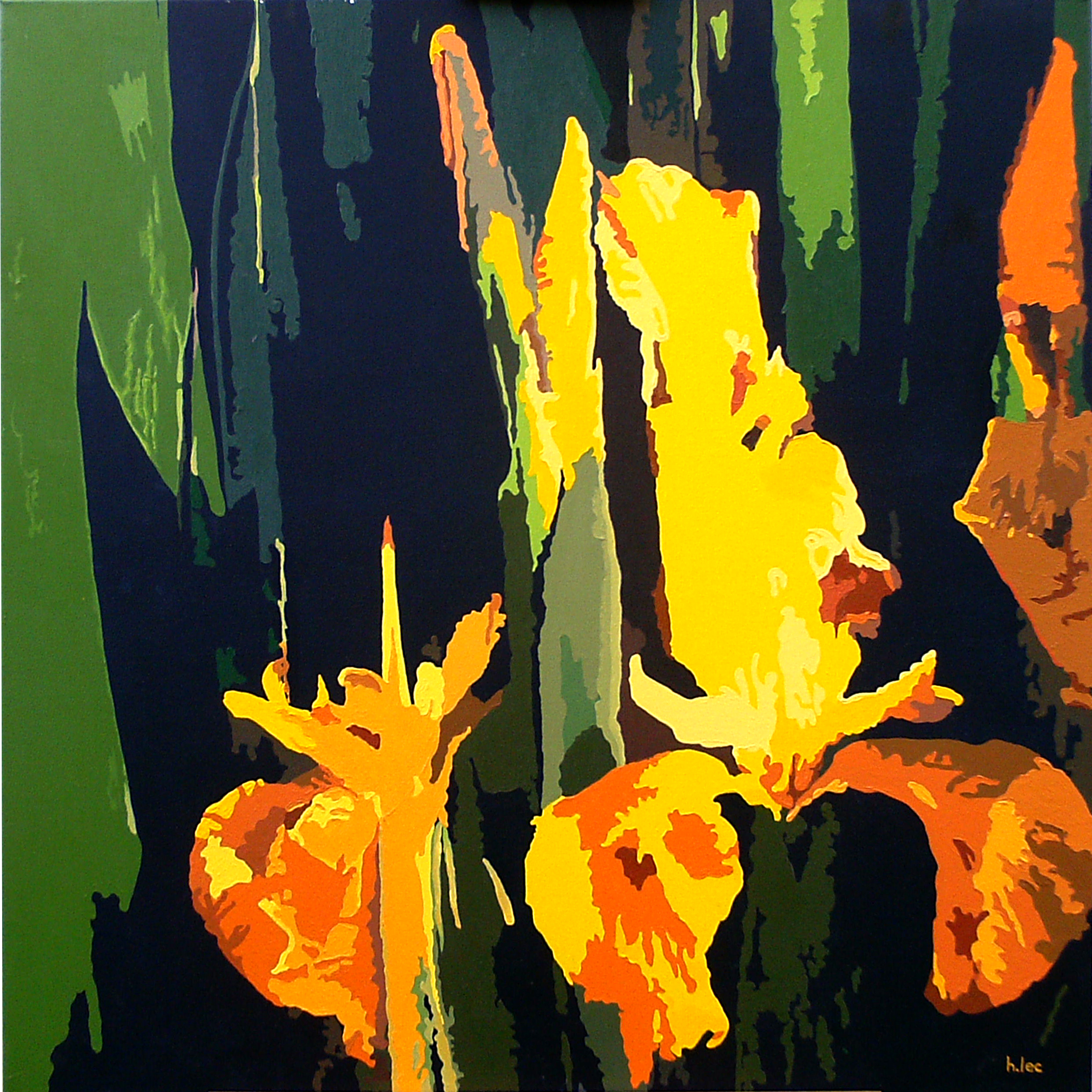Iris jaune copie