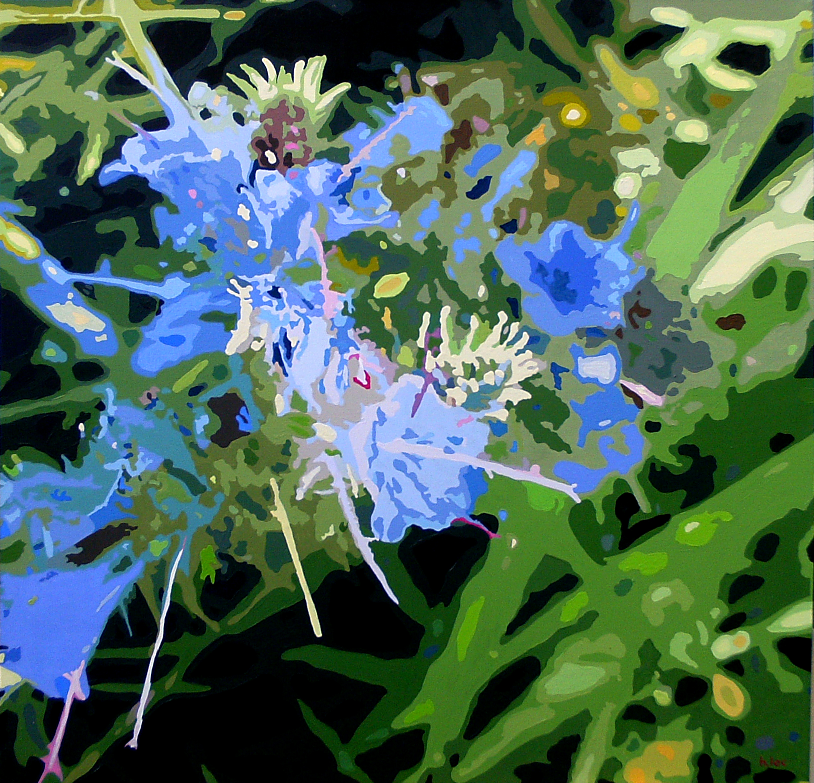 Petite fleur bleue du bord du chemin