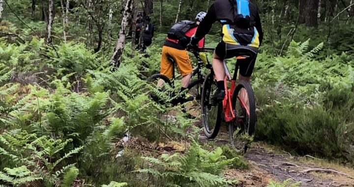 3785ad93 671b 47df b552 8c0a97267c37 720x380