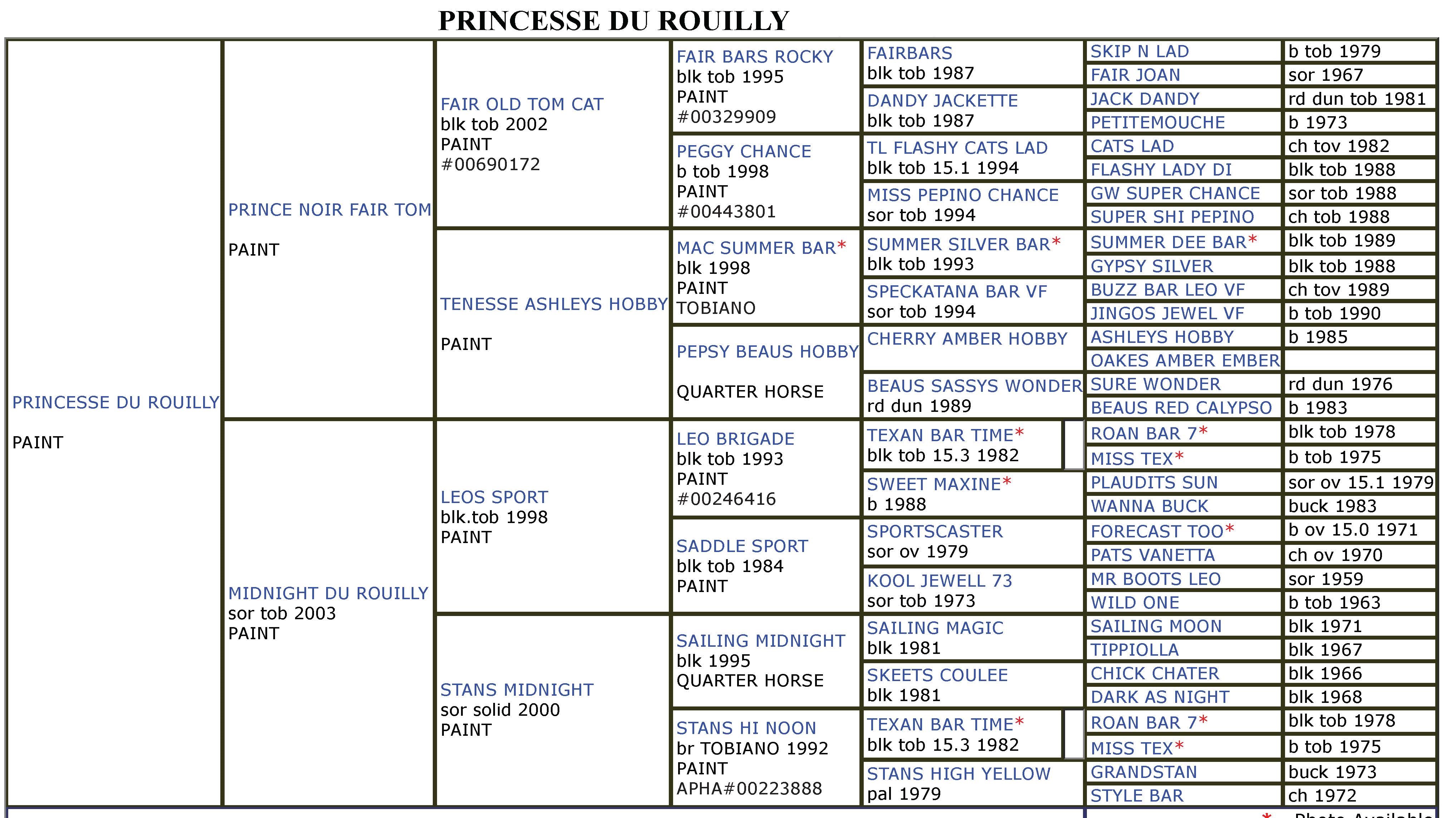 Princesse-Du-Rouilly-Paint