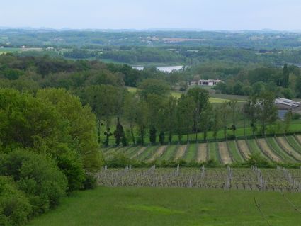 Vu lac des promenades