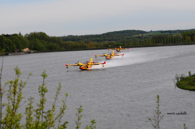 Canadaire 1
