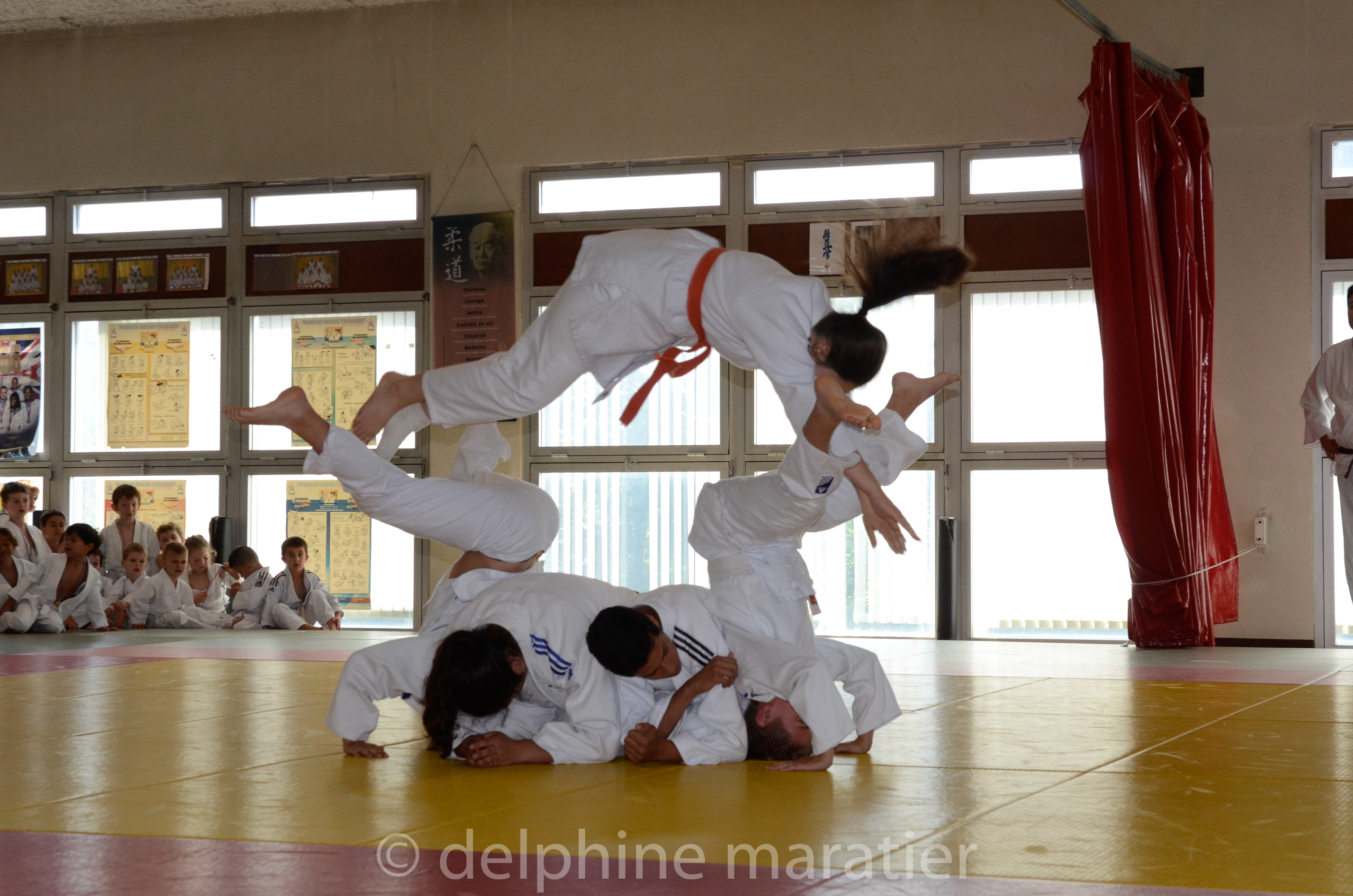  dsc8800 judo 2018