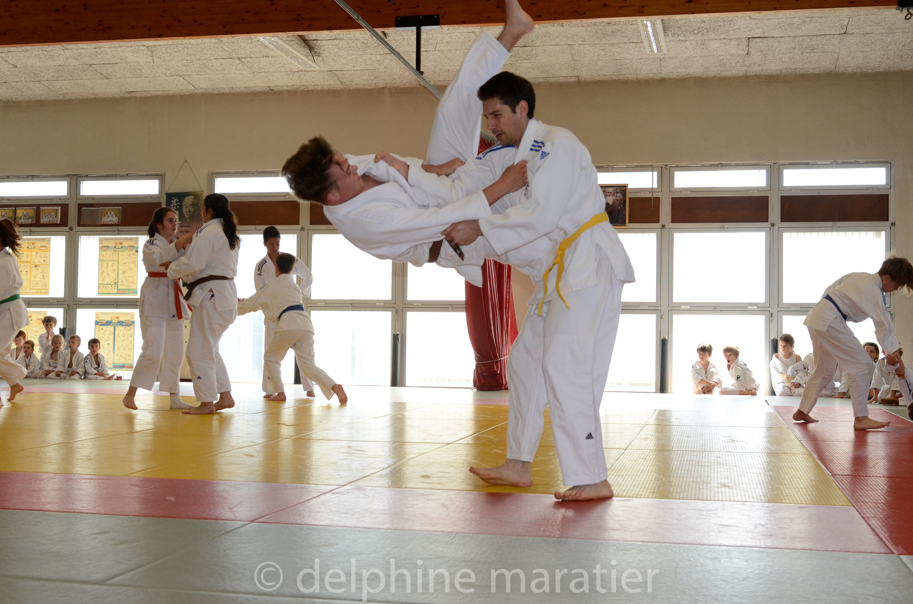  dsc8815 judo 2018