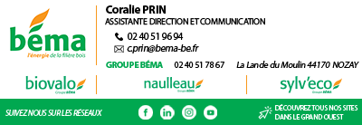 Bema