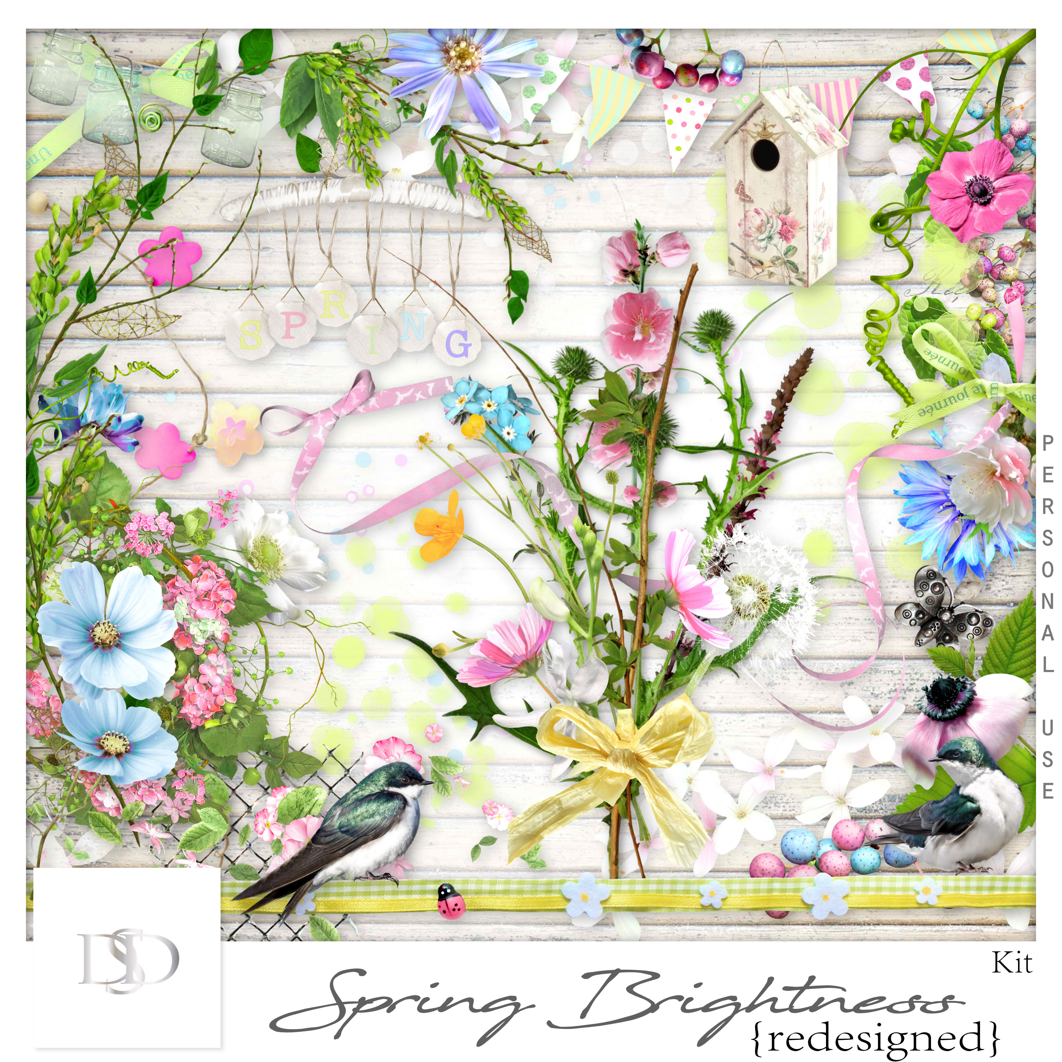 Dsd springbrightness kit