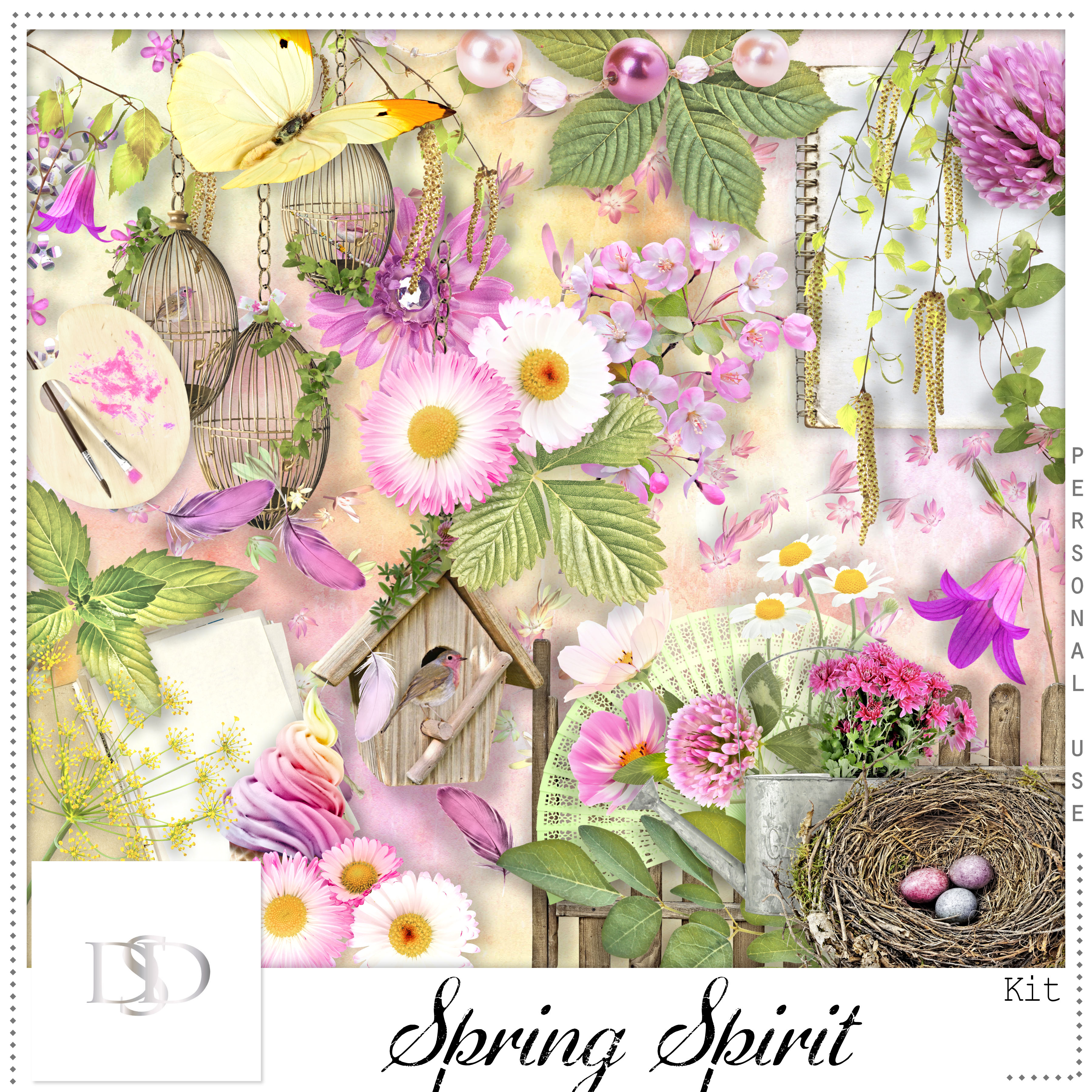 Dsd springspirit kit