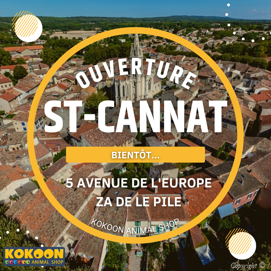 Nouveau magasin