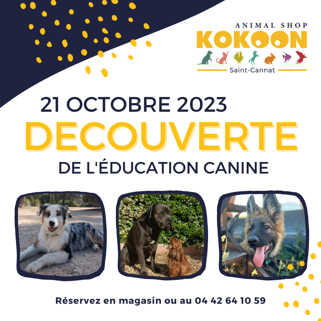 Trets le 21/10