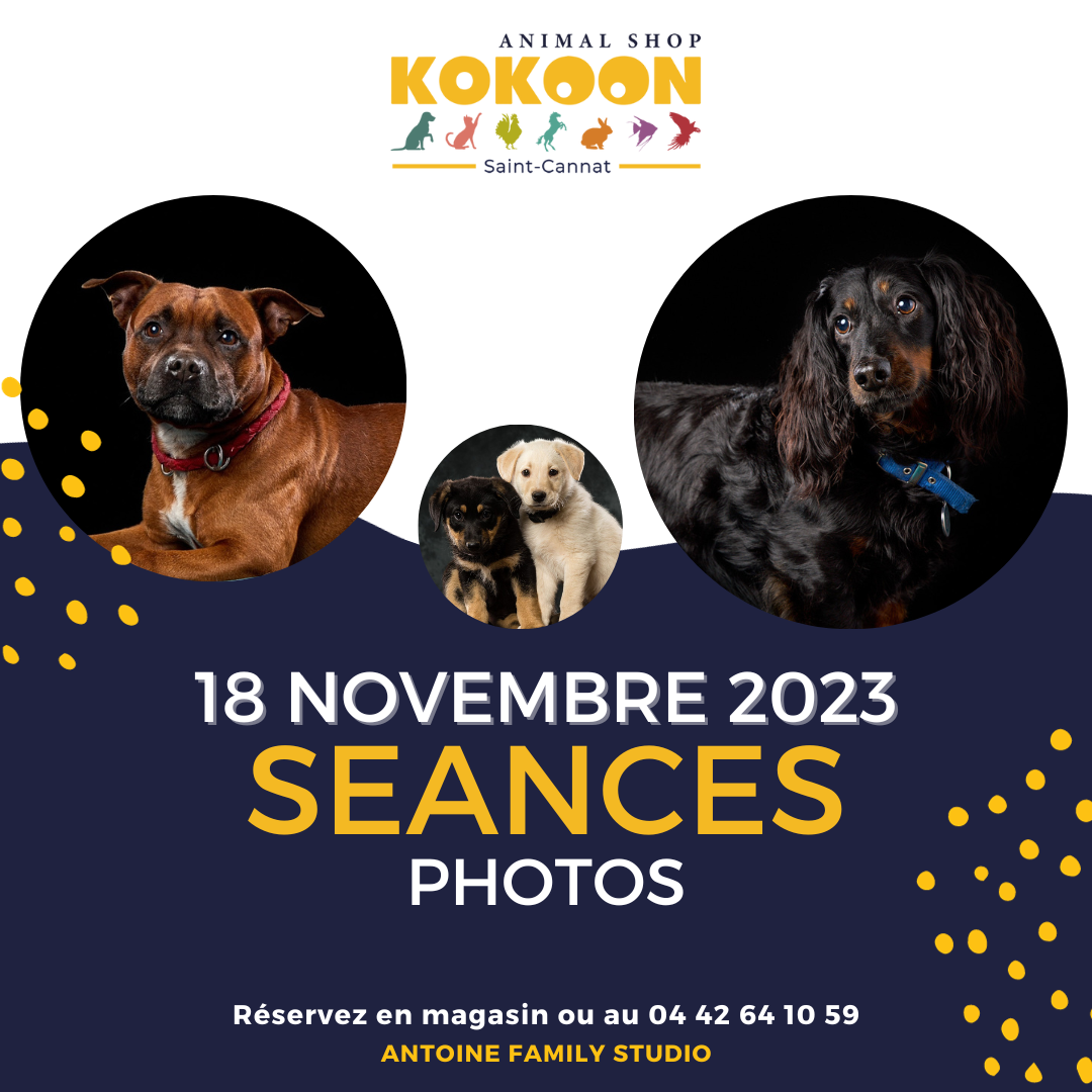 Saint-Cannat le 18/11