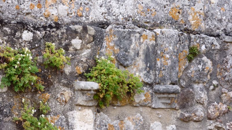 Image04