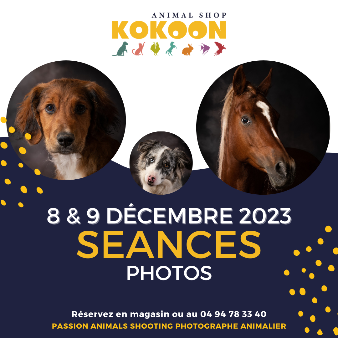 St-Max les 08 & 09/12